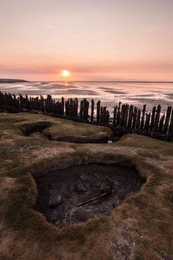 Vissershuisje Aan De Waddenzee Paesens Extérieur photo